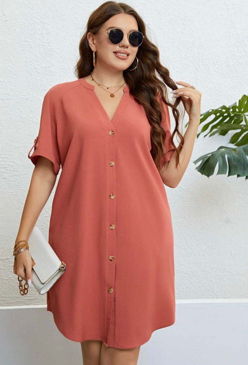 Button Down Dress